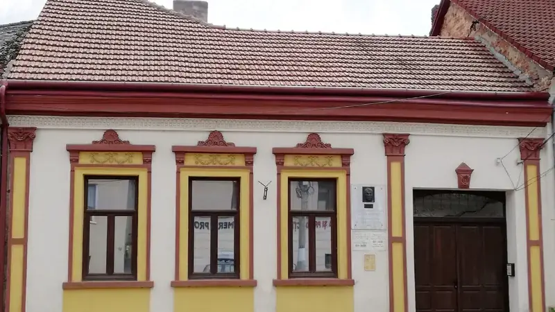 Casa Memorială Ady Endre