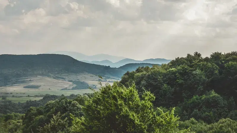 Munții Meseș