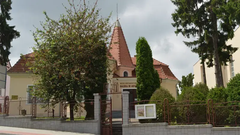 Muzeul de Artă Ioan Sima